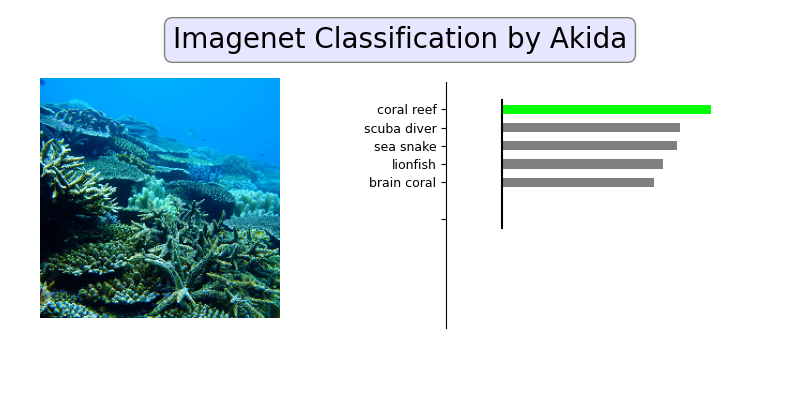 plot 1 akidanet imagenet