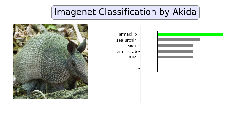 plot 1 akidanet imagenet