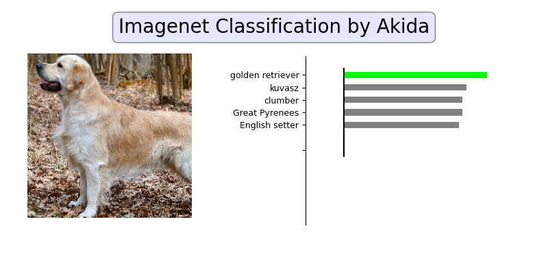 plot 1 akidanet imagenet