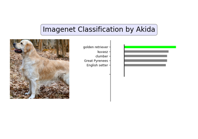 AkidaNet/ImageNet inference