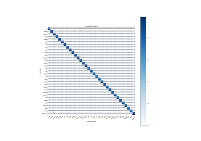 DS-CNN/KWS inference