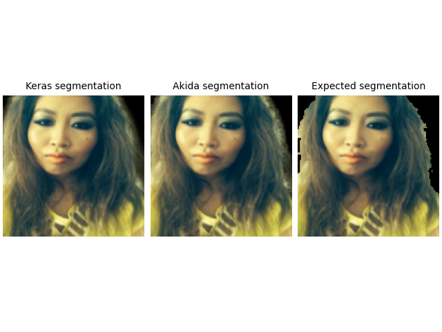 Keras segmentation, Akida segmentation, Expected segmentation