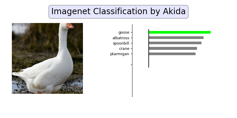 plot 1 akidanet imagenet